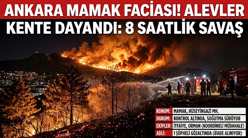 Ankara Mamak'ta Ağaçlık Alan Yangını