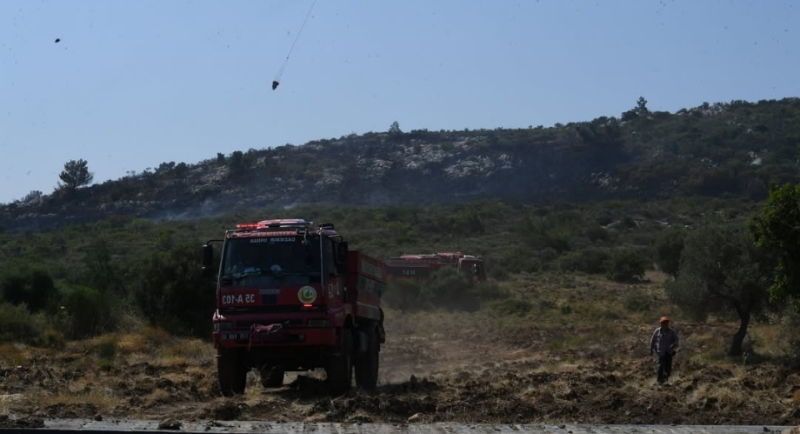 İzmir Urla Balıklıova’da Dağlık Alanda Yangın:
