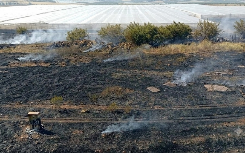 Antalya Serik’te Korkutan Otluk Alan Yangını: İtfaiyenin Hızlı Müdahalesi Facieyi Önledi