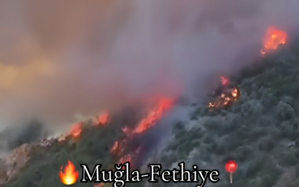 Fethiye Göcek Orman Yangını
