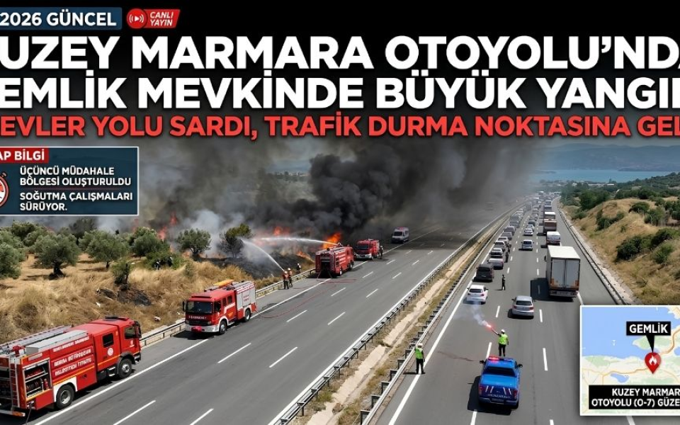 SON DAKİKA Gemlik Otoyol Da Yangın Çıktı