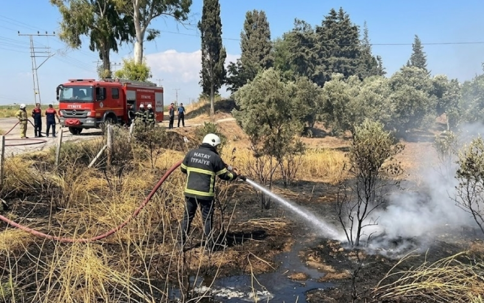 Hatay Reyhanlı’da Korkutan Zeytinlik Yangını