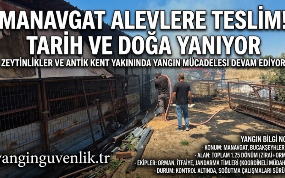 Manavgat'ta Tarihi Alana Yakın Yangın