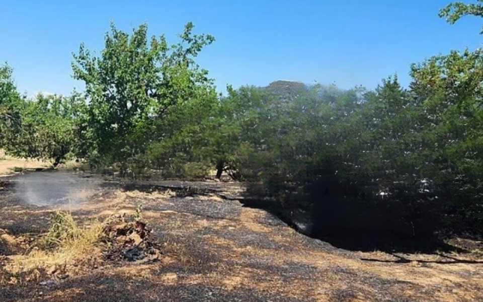 Mersin Mut’ta Korkutan Tarım Yangını: