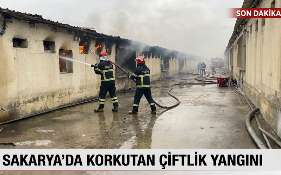 Sakarya Tavuk Çiftliğinde Yangın
