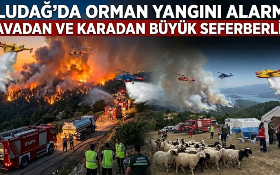 Uludağ’da Yol Kenarında Çıkan Yangına Havadan ve Karadan ve Havadan Müdahale Edildi